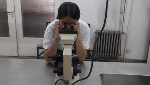 imagen Estudiantes se capacitan en biodiversidad y reciben plantas para el patio escolar