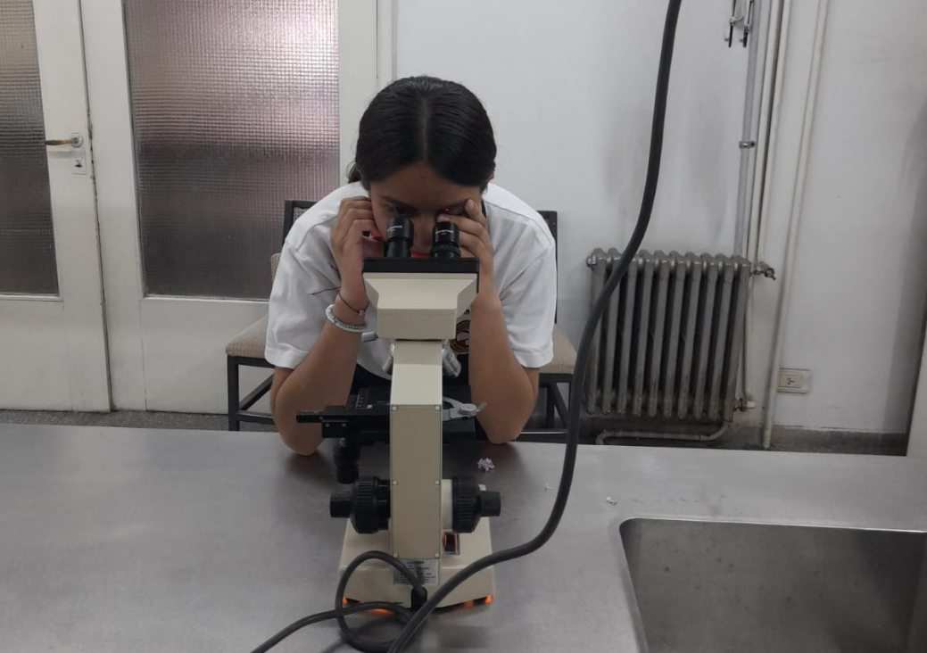 imagen Estudiantes se capacitan en biodiversidad y reciben plantas para el patio escolar