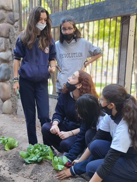 imagen Celebramos el día de la Tierra trabajando en la huerta escolar y plantando un árbol