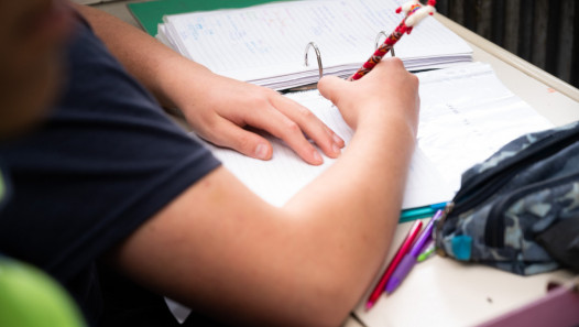imagen Terminalidad Educativa: acompañamiento para completar los estudios secundarios