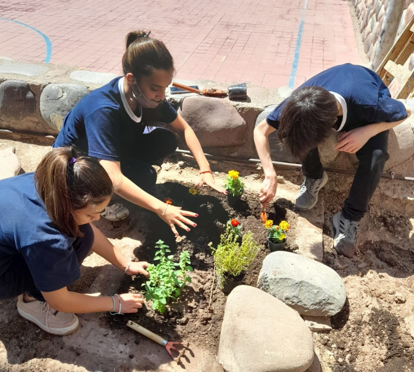 imagen Estudiantes de primero quinta continúan trabajando en el proyecto de la huerta escolar