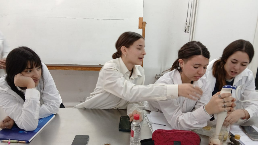 imagen Ciencia en acción