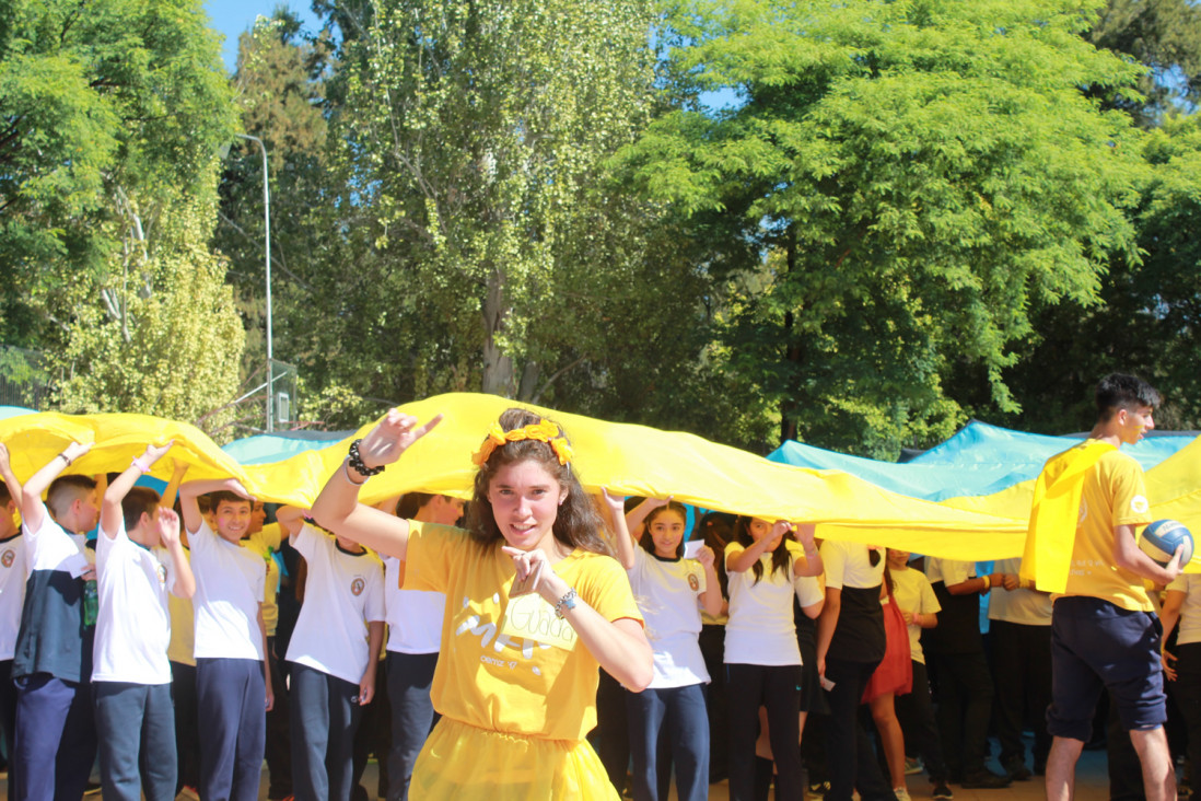 imagen Ambientaciones: tres jornadas a pleno en la Comunidad del león