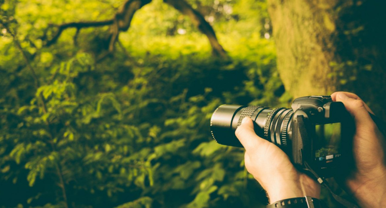 imagen Concurso fotográfico para concientizar sobre el cuidado del ambiente