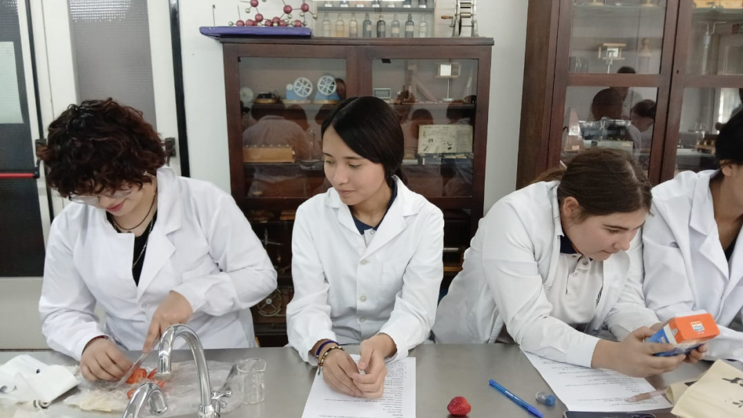 imagen Ciencia en acción