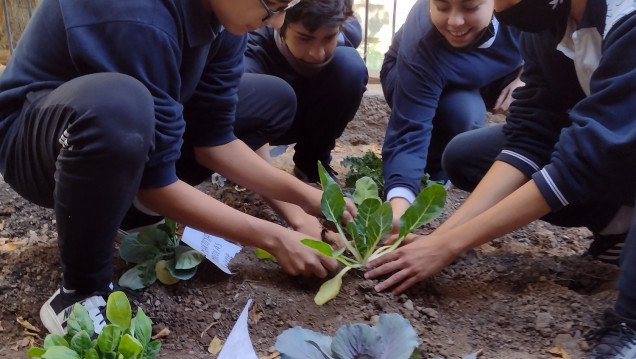 imagen Celebramos el día de la Tierra trabajando en la huerta escolar y plantando un árbol