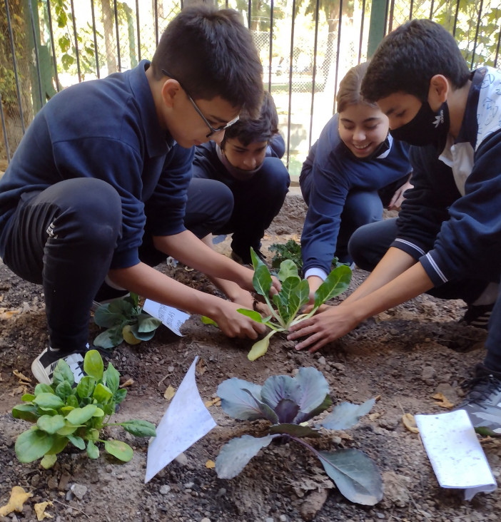 imagen Celebramos el día de la Tierra trabajando en la huerta escolar y plantando un árbol