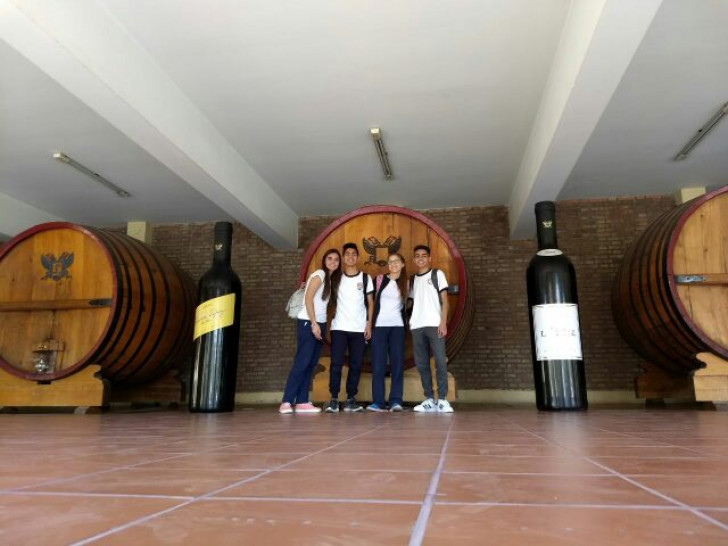 imagen Visita a Bodegas López para estudiar Economía vitivinícola