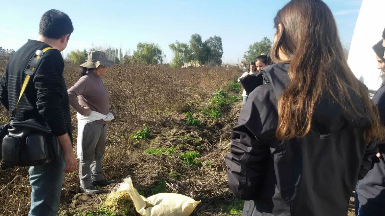 imagen Visita a Cooperativa agrícola de Lavalle