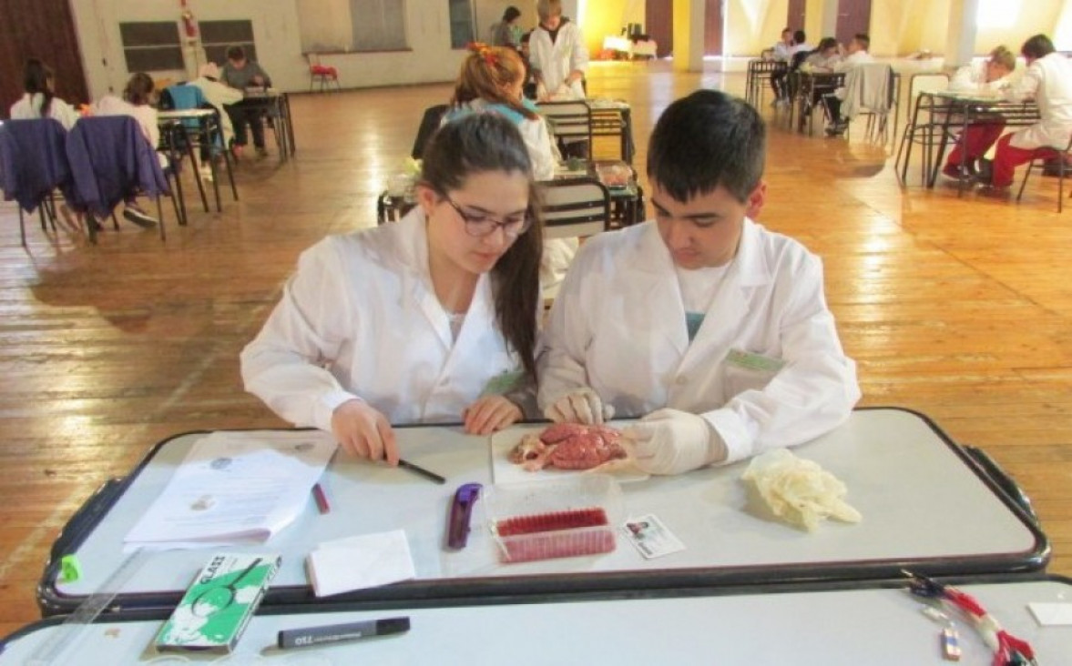 imagen Comienza la Olimpiada Argentina de Ciencias Junior